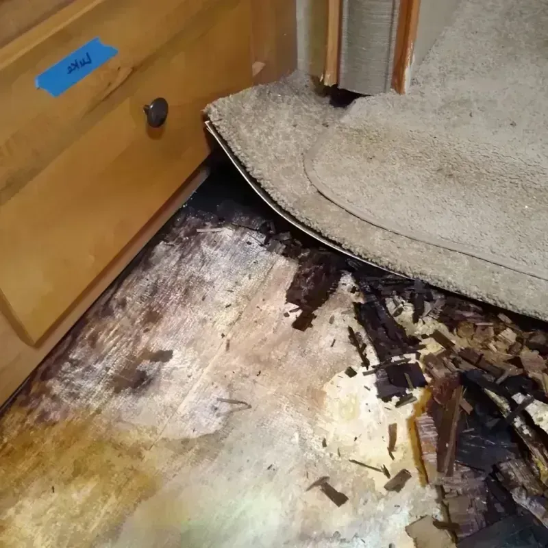 Wood Floor Water Damage in Saint Croix County, WI